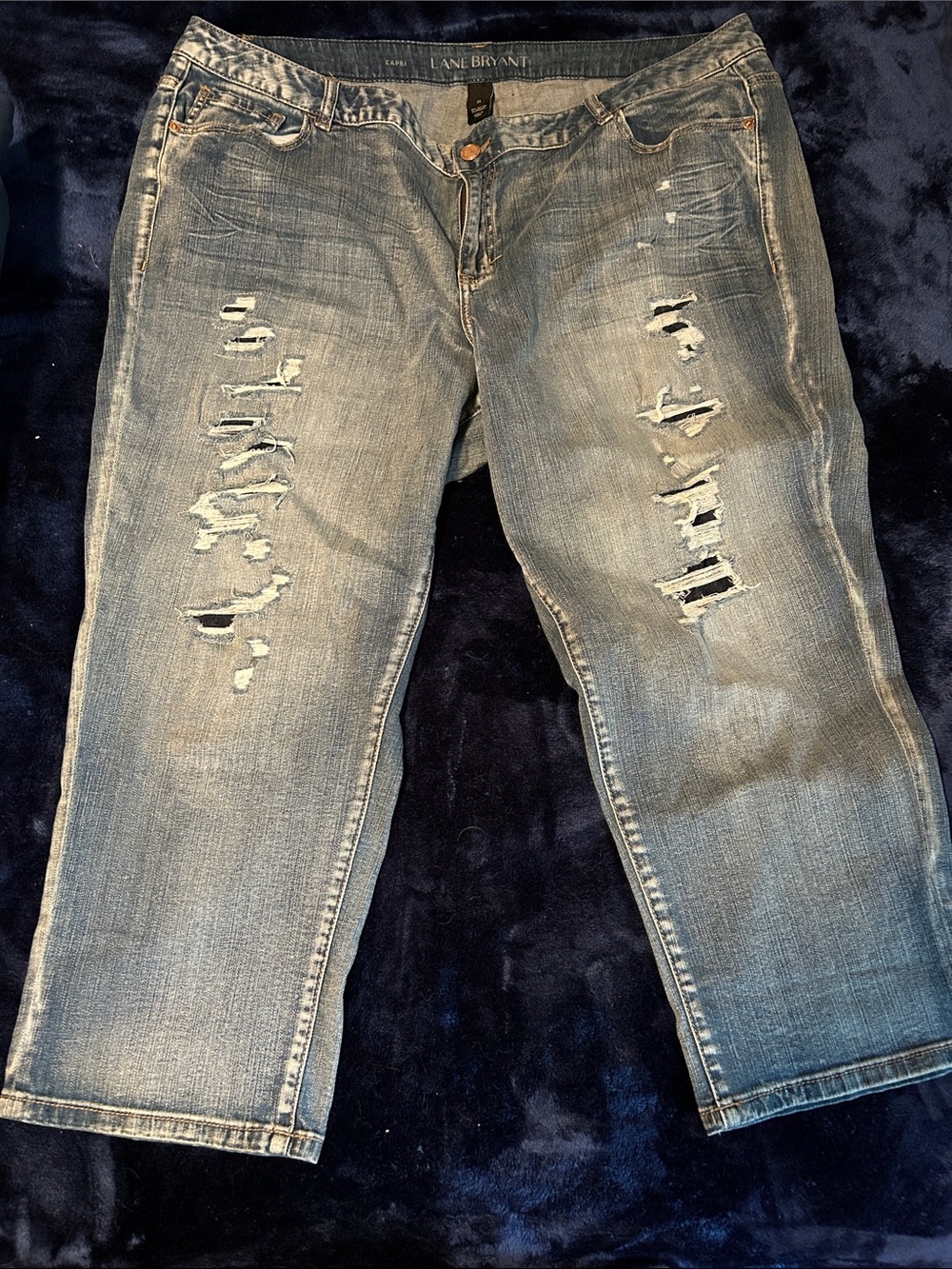 Lane Bryant Womens Distressed Blue Denim Capri Jeans
